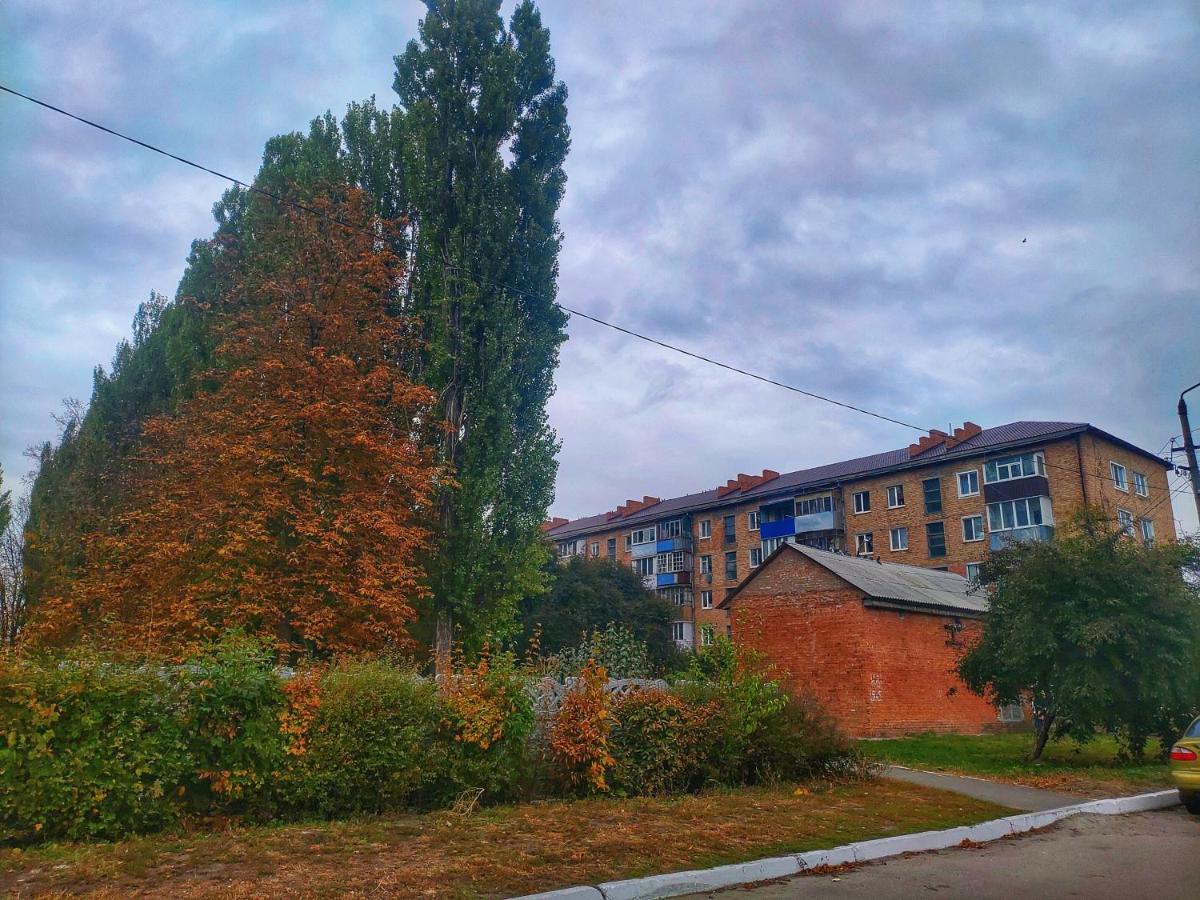 2Х Кімнатна Квартира На Вулиці Лесі Українки Uzyn Buitenkant foto